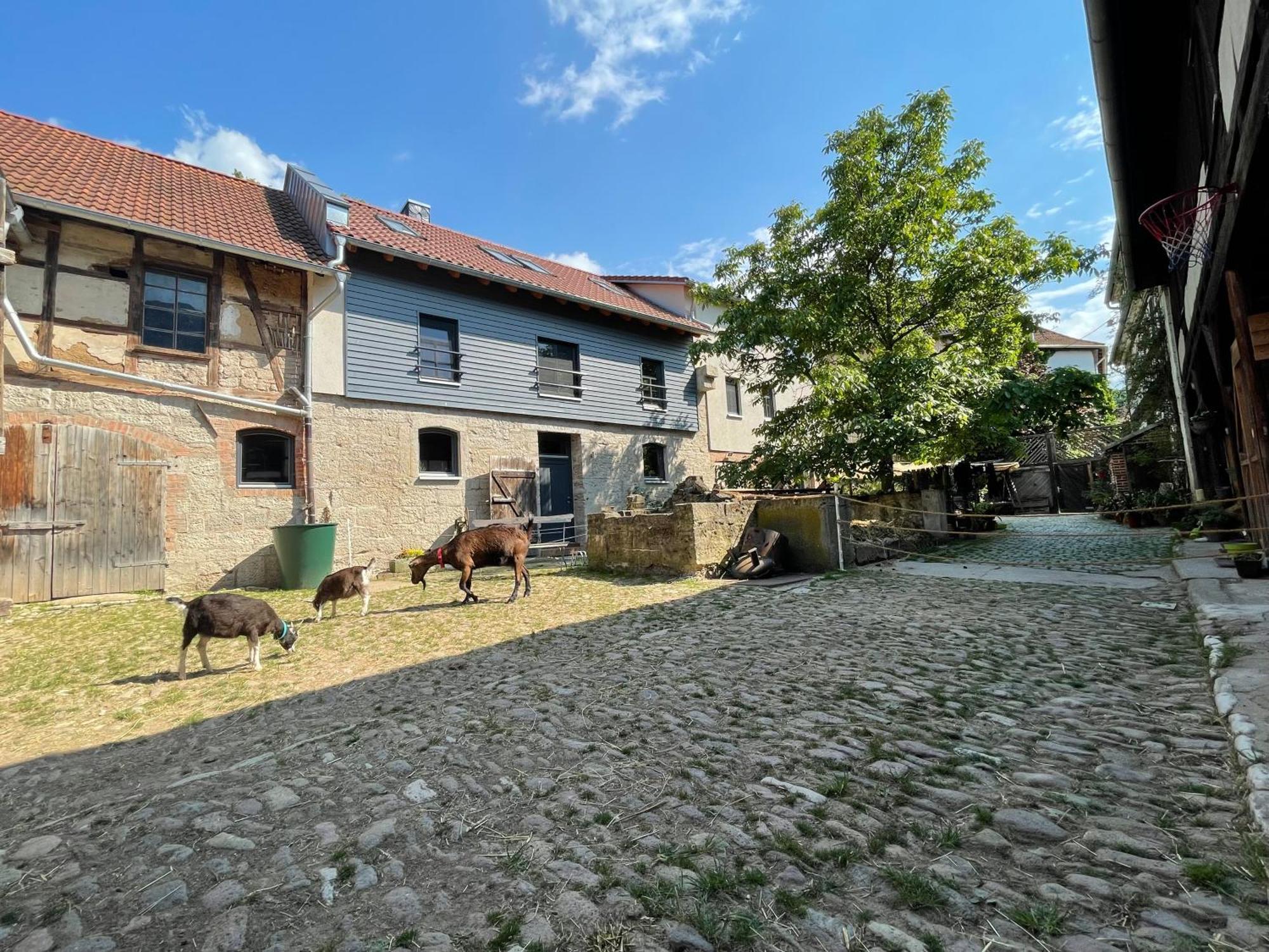 Ferienwohnung FerienhofWaldEsel Rippersroda Exterior foto